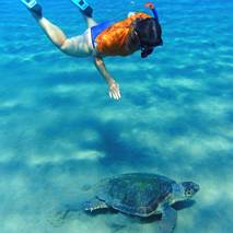 Pływając z żółwiami