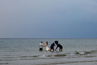 Ślub nad morzem